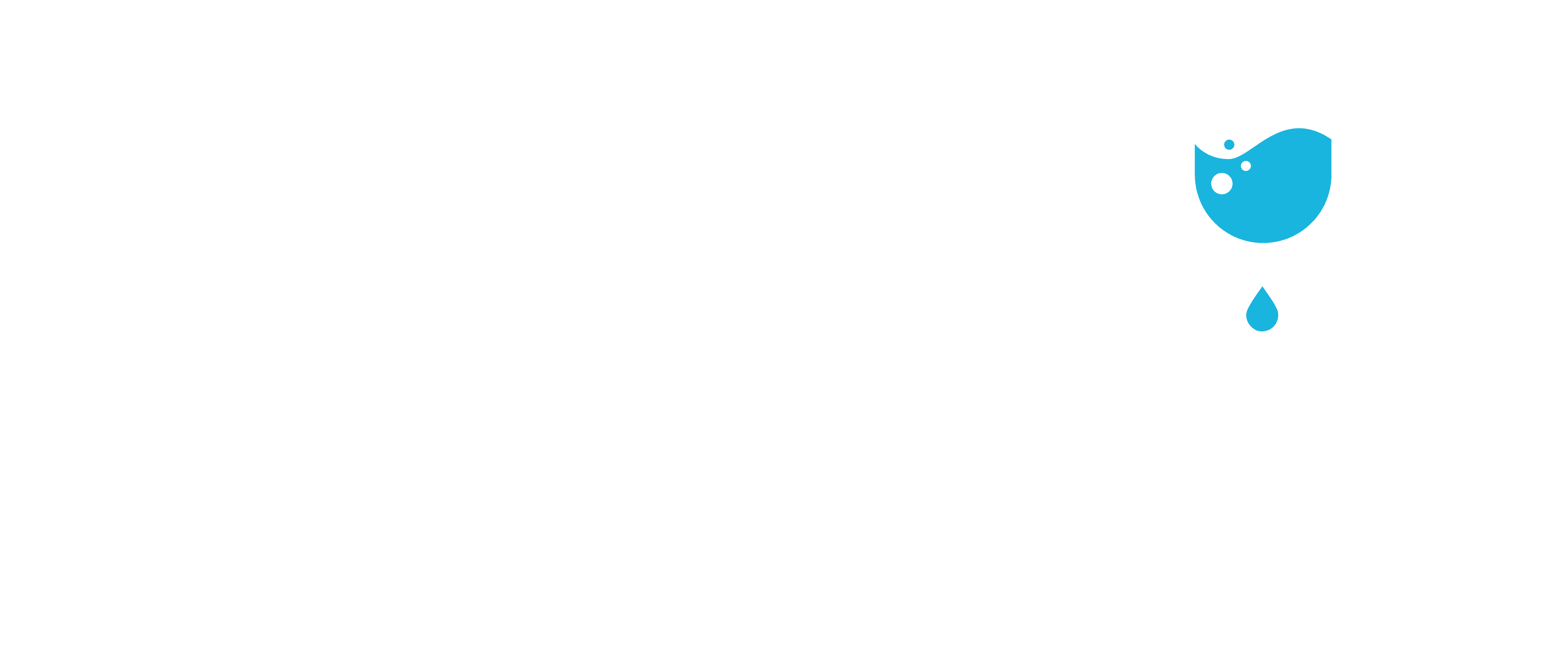 Excelsior Mobile IV | Clinical Care. Zero Commute.